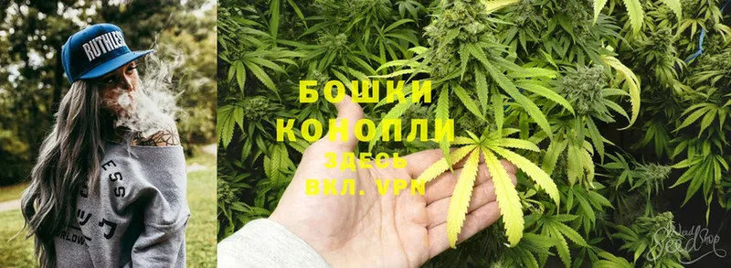 купить   Моздок  Бошки Шишки Ganja 